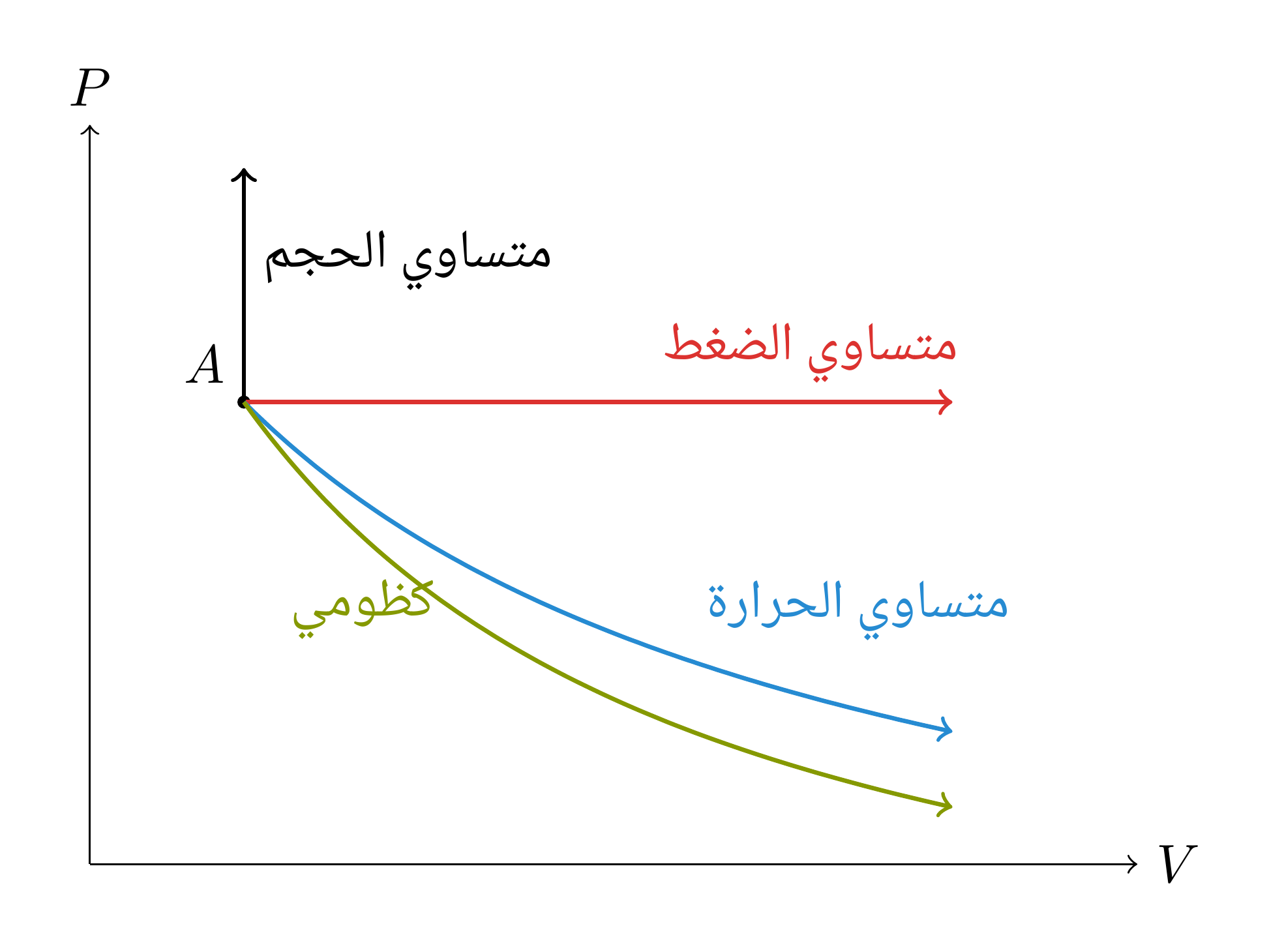 تمثيل تخطيطي في مخطط كلابيرون للتحولات المعتادة المنطلقة من الحالة نفسها A. في التمدد، يتناقص منحنى الكظوم أسرع من منحنى ثابت درجة الحرارة لأن >1.