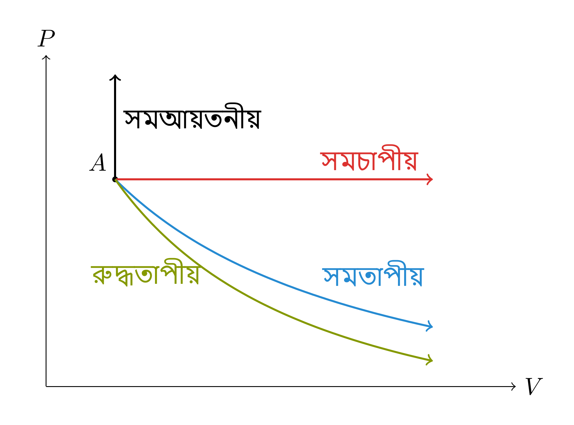 একই অবস্থা A থেকে শুরু হওয়া পরিচিত রূপান্তরগুলির ক্লাপেরন লেখচিত্রে পরিকল্পিত উপস্থাপন। প্রসারণে >1 বলে রুদ্ধতাপীয় রেখা সমতাপ রেখার তুলনায় দ্রুত নিচে নামে।