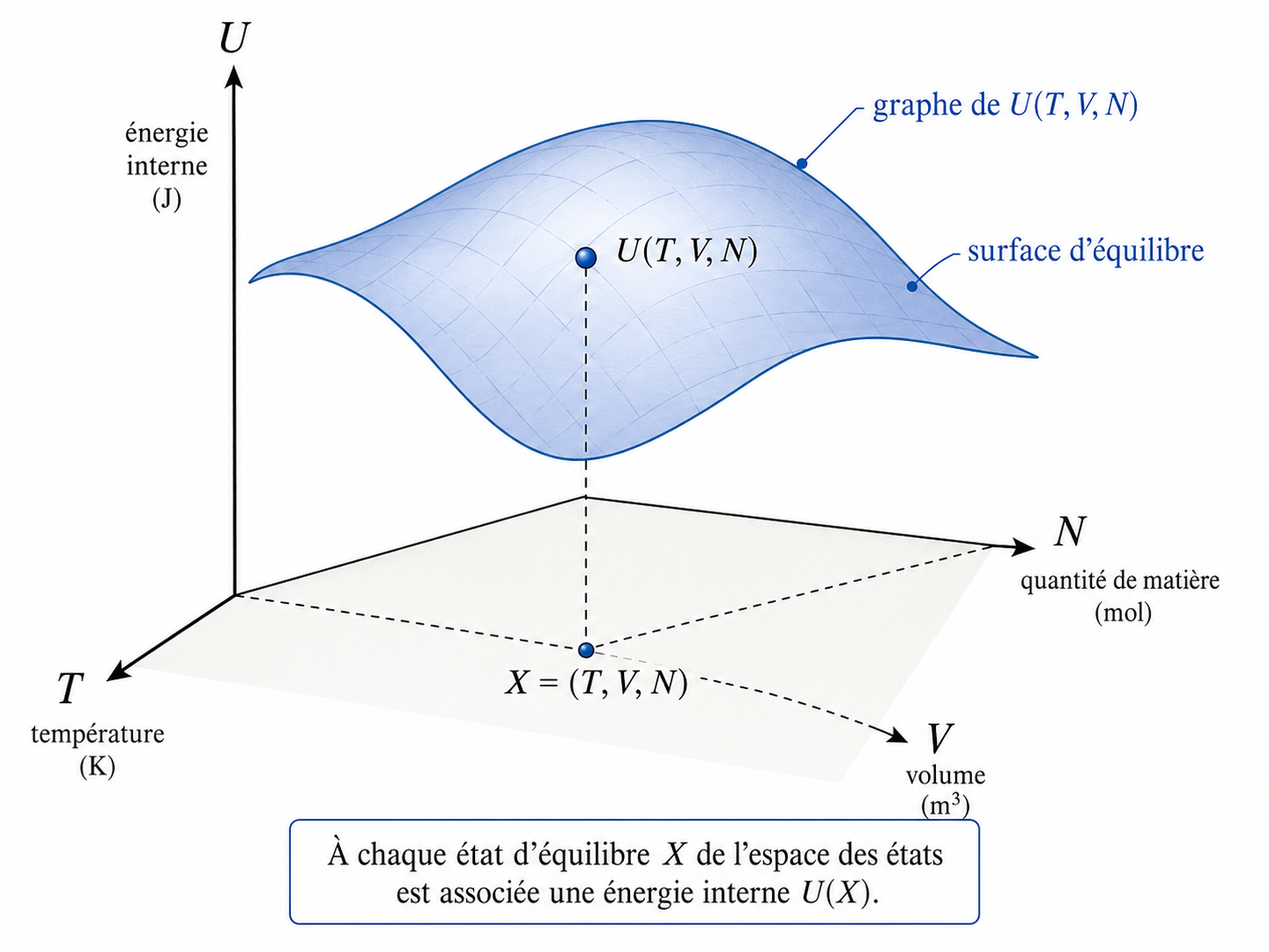 L'hypersurface énergie définie sur l'espace des états d'équilibre.