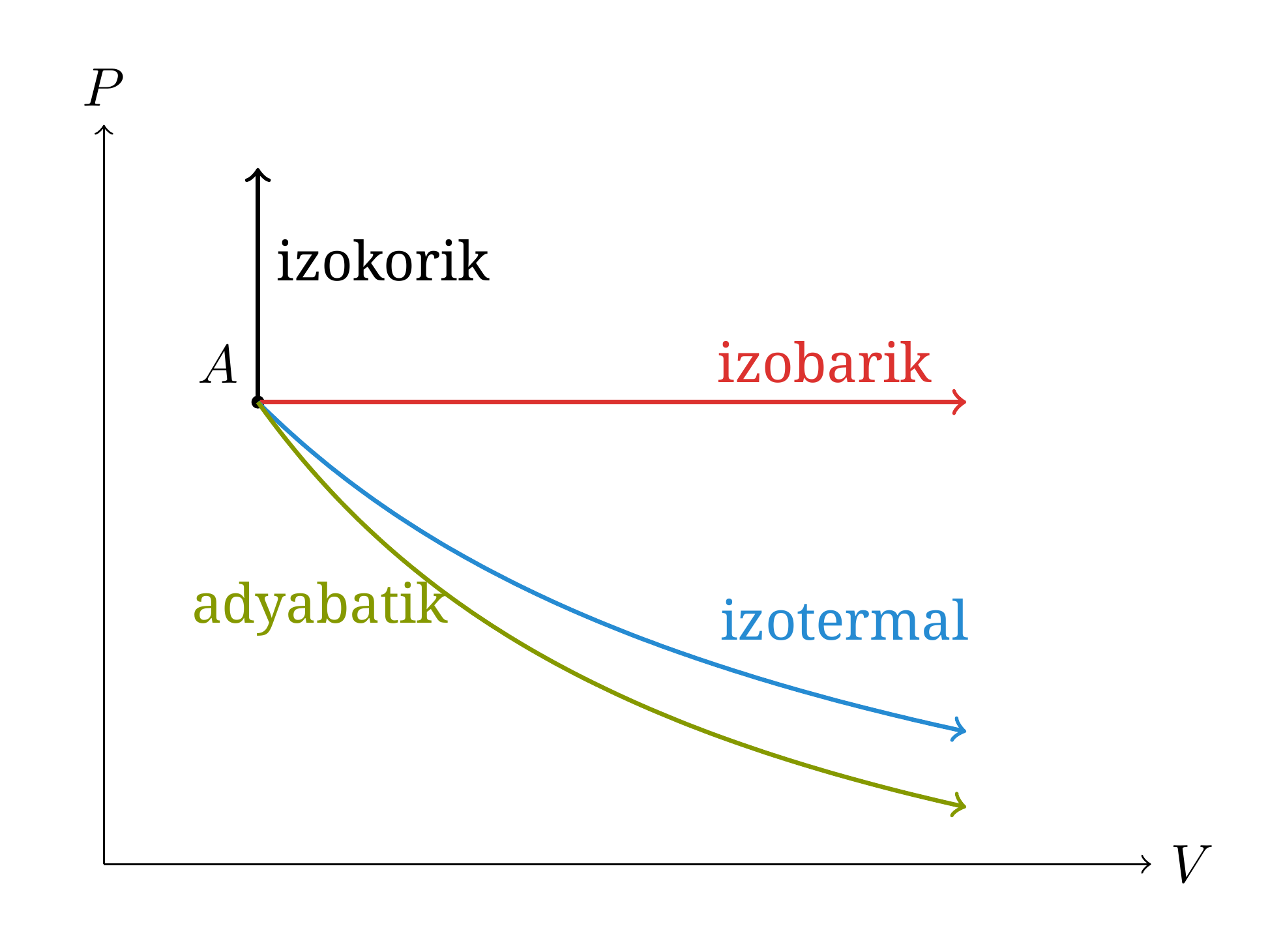 Aynı A durumundan başlayan olağan süreçlerin Clapeyron diyagramındaki şematik gösterimi. Bir genleşmede >1 olduğundan adyabat izotermden daha hızlı azalır.