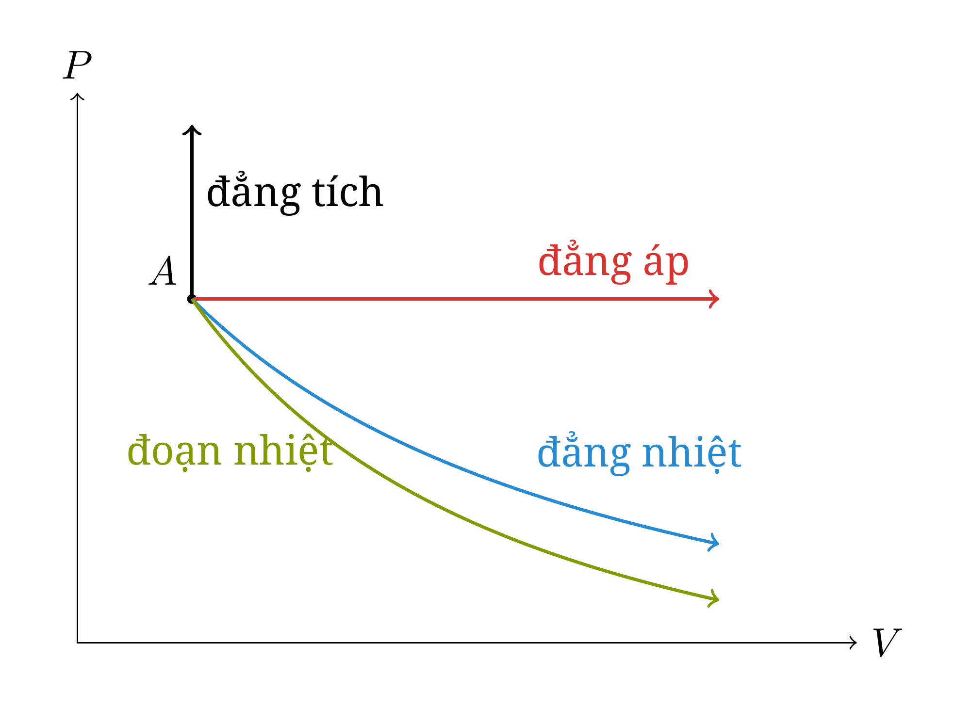 Biểu diễn sơ đồ trên đồ thị Clapeyron của các quá trình thông dụng xuất phát từ cùng một trạng thái A. Trong một quá trình giãn nở, đường đoạn nhiệt giảm nhanh hơn đường đẳng nhiệt vì >1.
